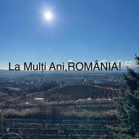 Wineyards Salin Bed & Breakfast Turda Dış mekan fotoğraf