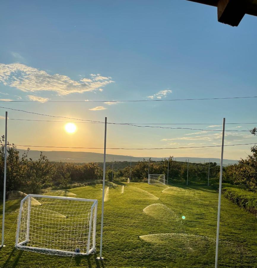 Wineyards Salin Bed & Breakfast Turda Dış mekan fotoğraf
