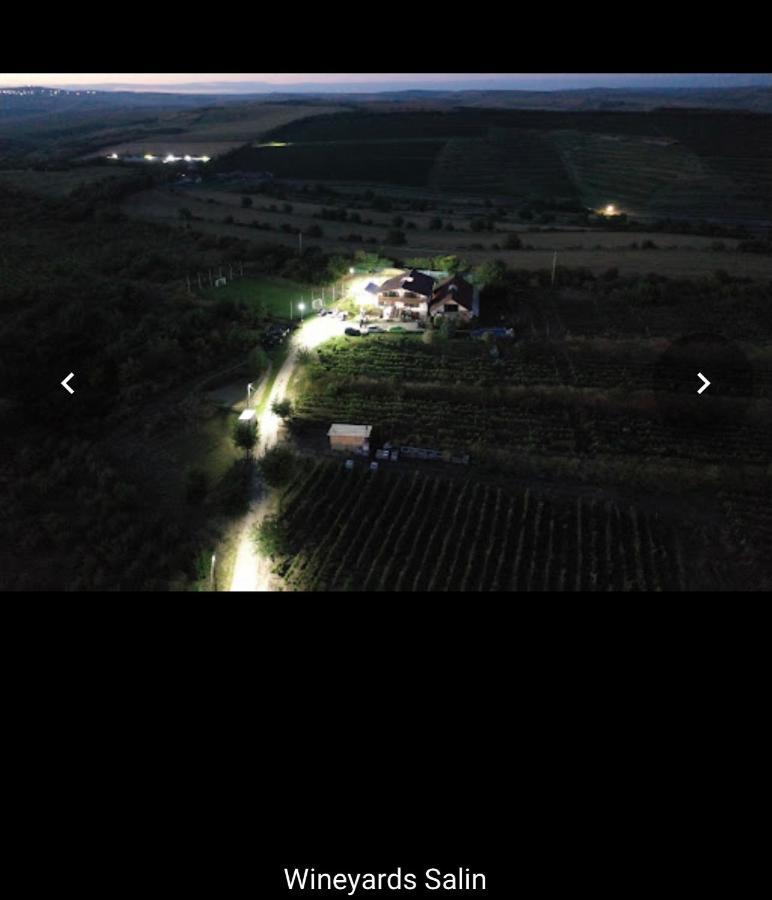 Wineyards Salin Bed & Breakfast Turda Dış mekan fotoğraf