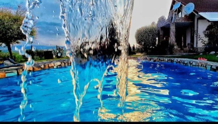 Wineyards Salin Bed & Breakfast Turda Dış mekan fotoğraf