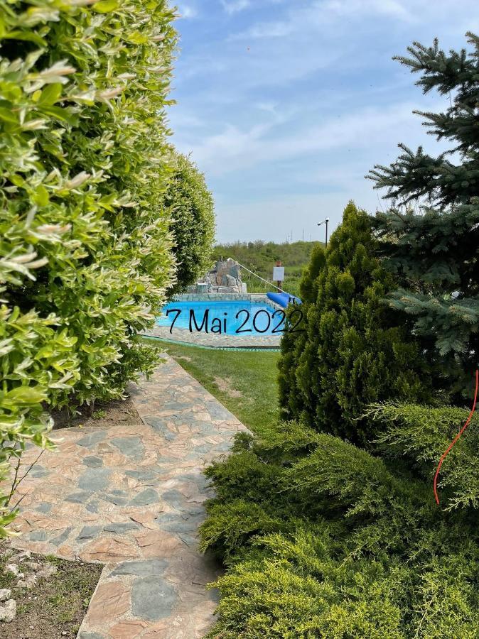 Wineyards Salin Bed & Breakfast Turda Dış mekan fotoğraf