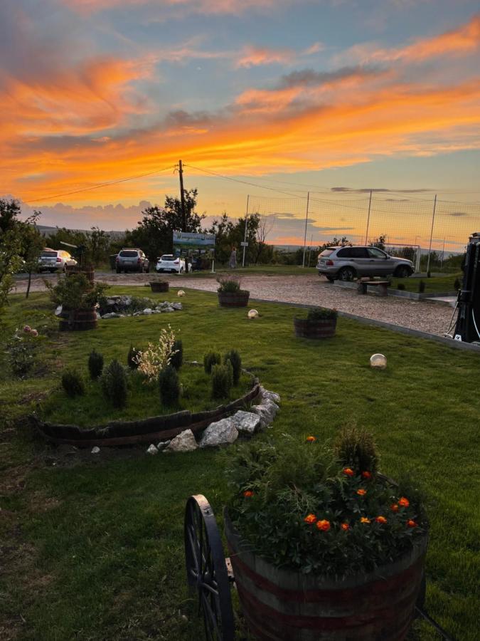 Wineyards Salin Bed & Breakfast Turda Dış mekan fotoğraf