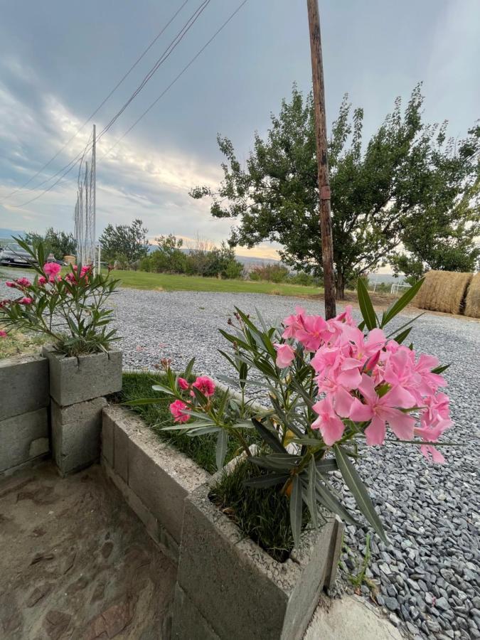 Wineyards Salin Bed & Breakfast Turda Dış mekan fotoğraf