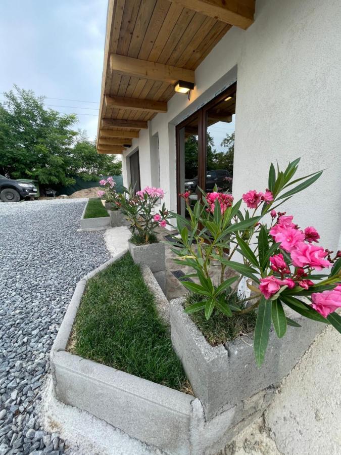 Wineyards Salin Bed & Breakfast Turda Dış mekan fotoğraf