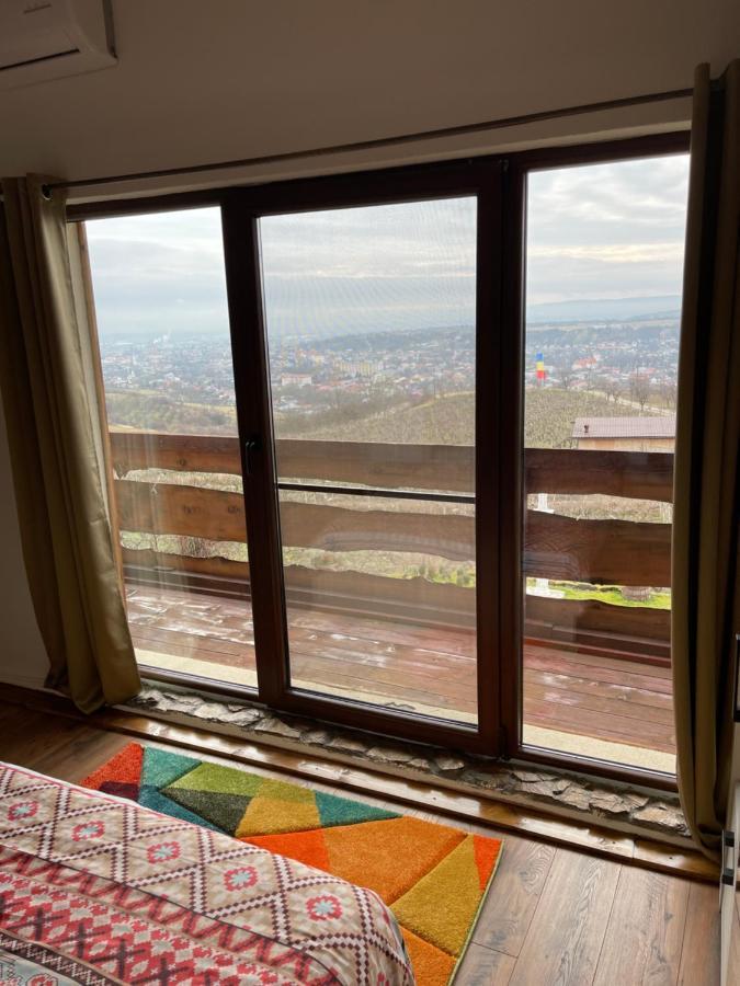 Wineyards Salin Bed & Breakfast Turda Dış mekan fotoğraf