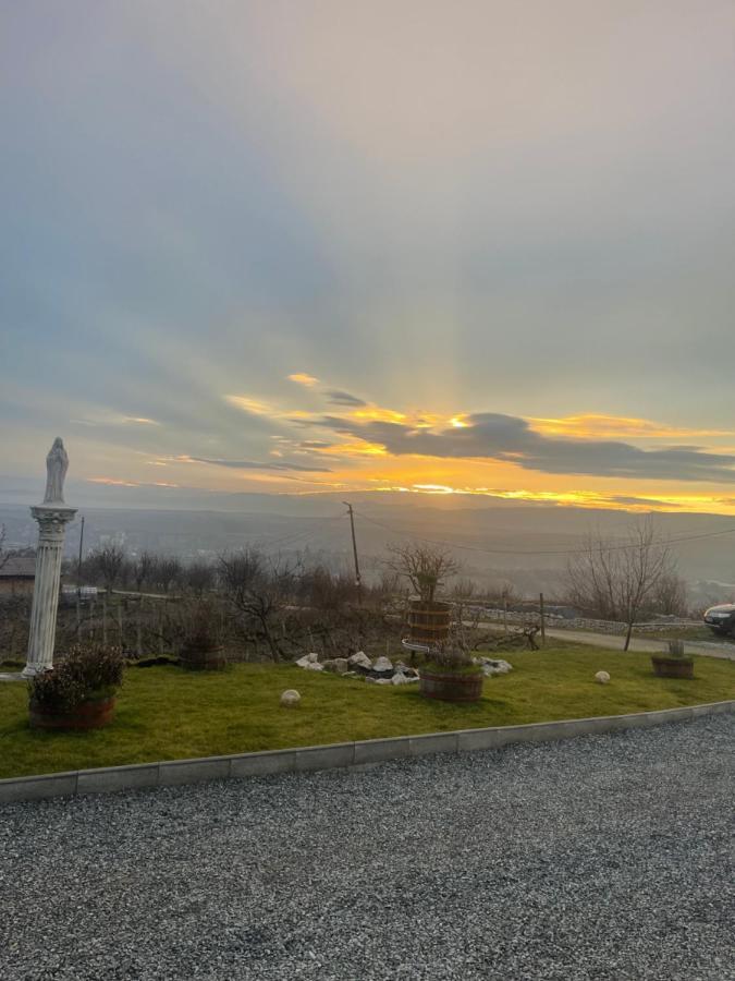 Wineyards Salin Bed & Breakfast Turda Dış mekan fotoğraf