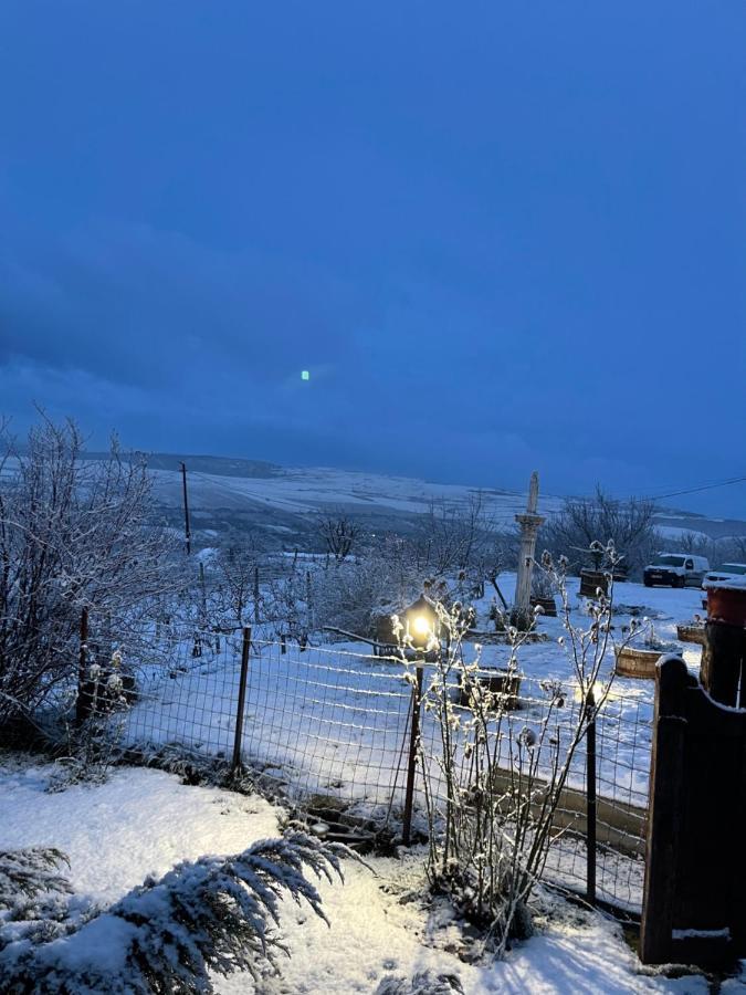 Wineyards Salin Bed & Breakfast Turda Dış mekan fotoğraf