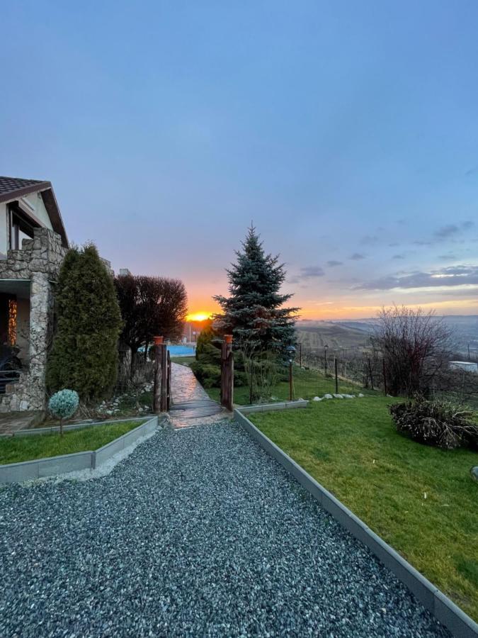 Wineyards Salin Bed & Breakfast Turda Dış mekan fotoğraf