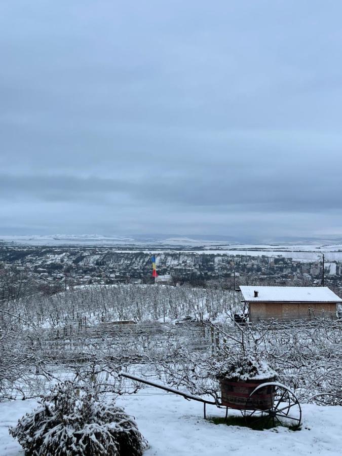 Wineyards Salin Bed & Breakfast Turda Dış mekan fotoğraf