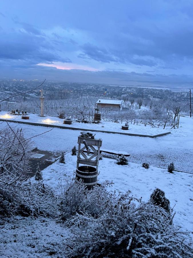 Wineyards Salin Bed & Breakfast Turda Dış mekan fotoğraf