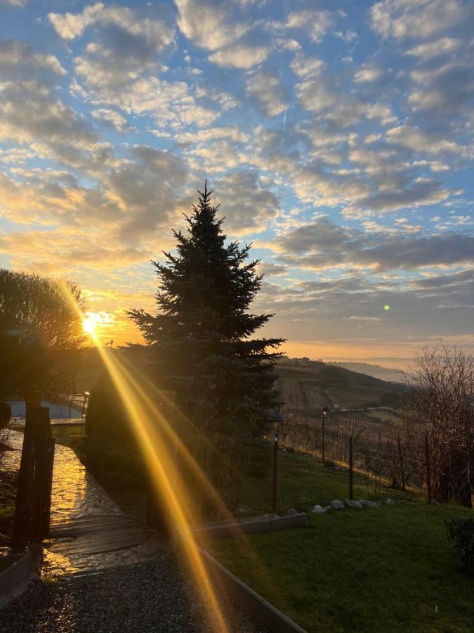 Wineyards Salin Bed & Breakfast Turda Dış mekan fotoğraf