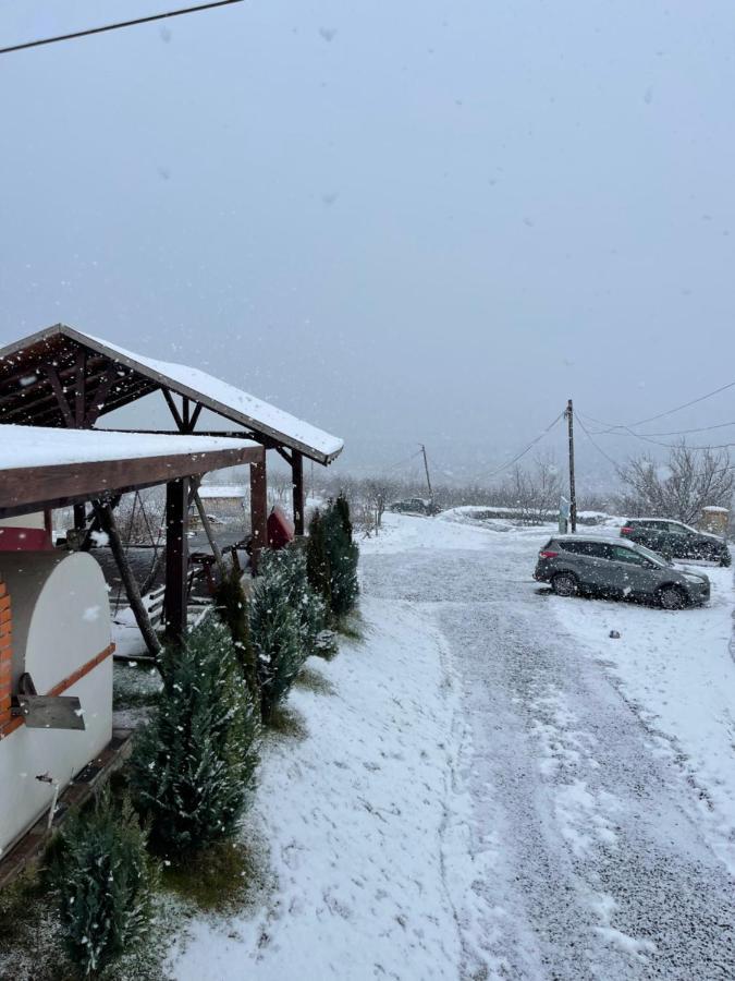 Wineyards Salin Bed & Breakfast Turda Dış mekan fotoğraf