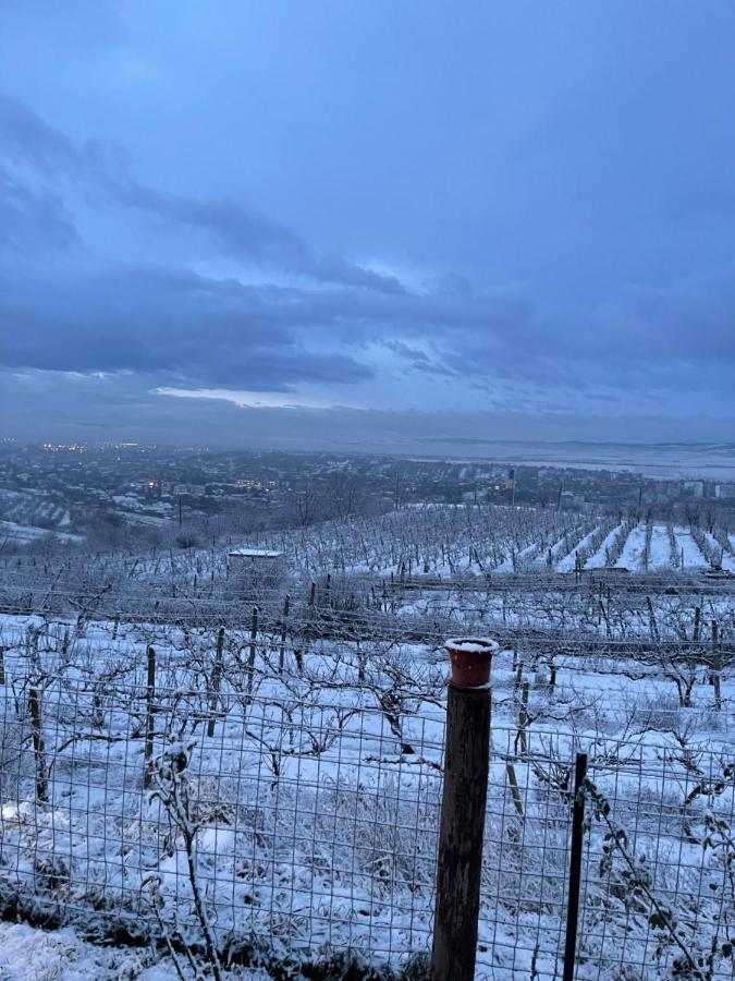 Wineyards Salin Bed & Breakfast Turda Dış mekan fotoğraf