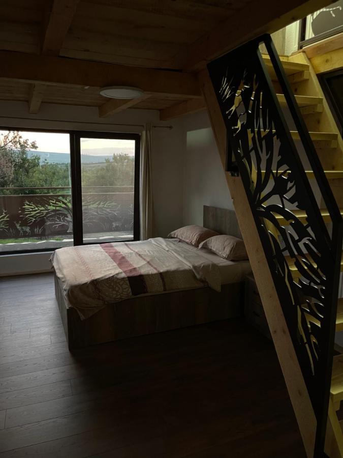 Wineyards Salin Bed & Breakfast Turda Dış mekan fotoğraf
