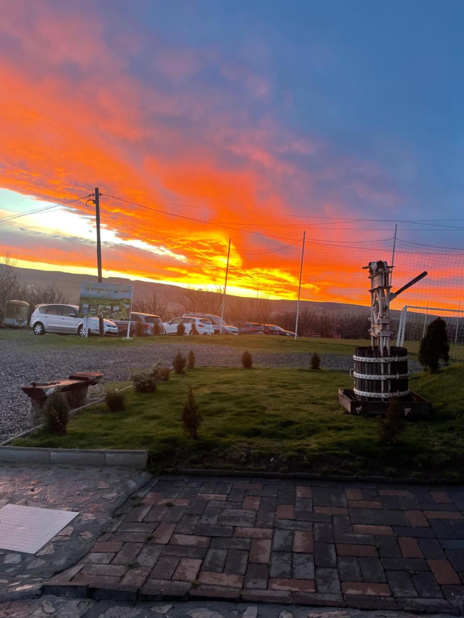 Wineyards Salin Bed & Breakfast Turda Dış mekan fotoğraf