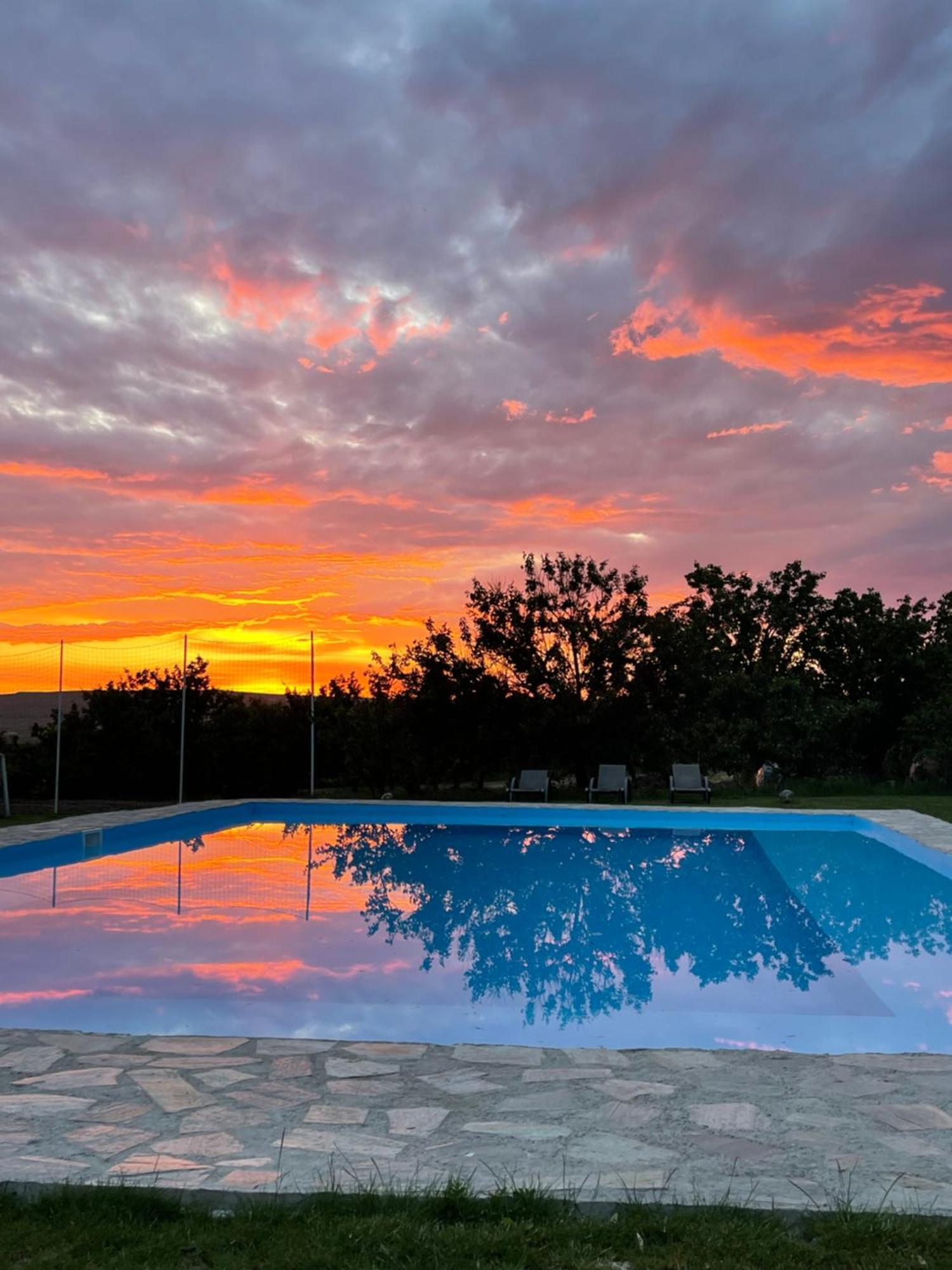 Wineyards Salin Bed & Breakfast Turda Dış mekan fotoğraf